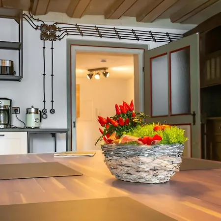 Retro Schwarzwald -charme Mit Sauna Lejlighed
